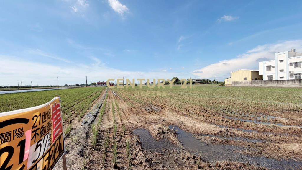 JC377埤頭新庄段方正美農地