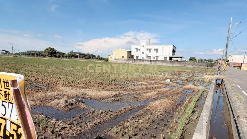 JC377埤頭新庄段方正美農地