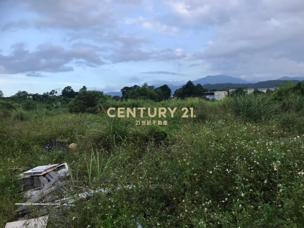 DH013冬山正梅花旁租賃農地