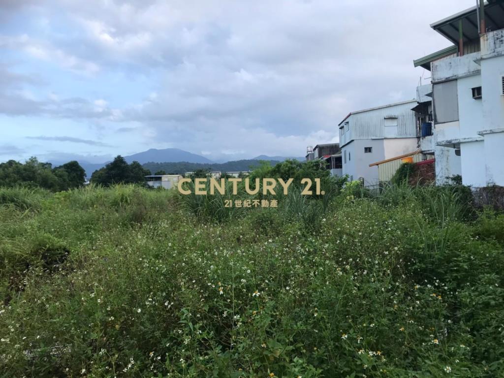 DH013冬山正梅花旁租賃農地