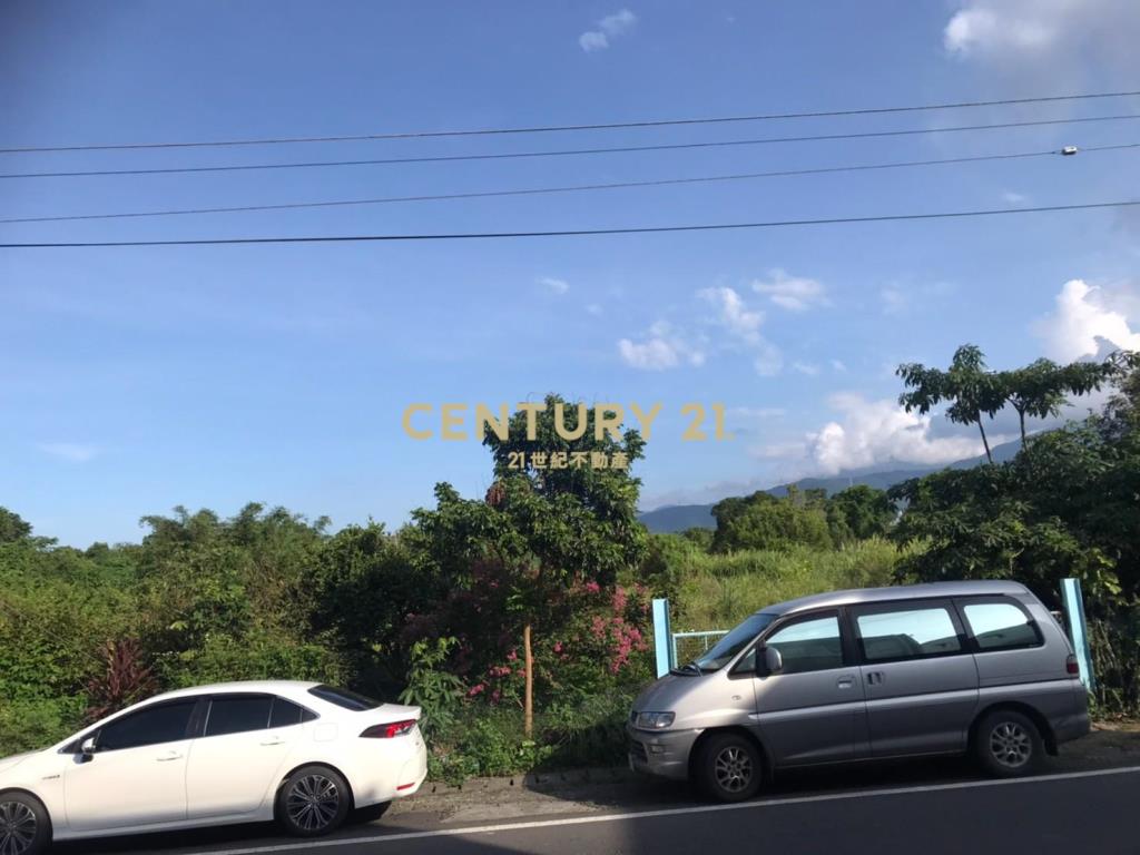 DH013冬山正梅花旁租賃農地