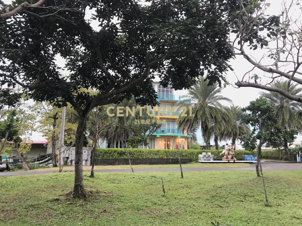 DD232冬山河第一排百坪建地