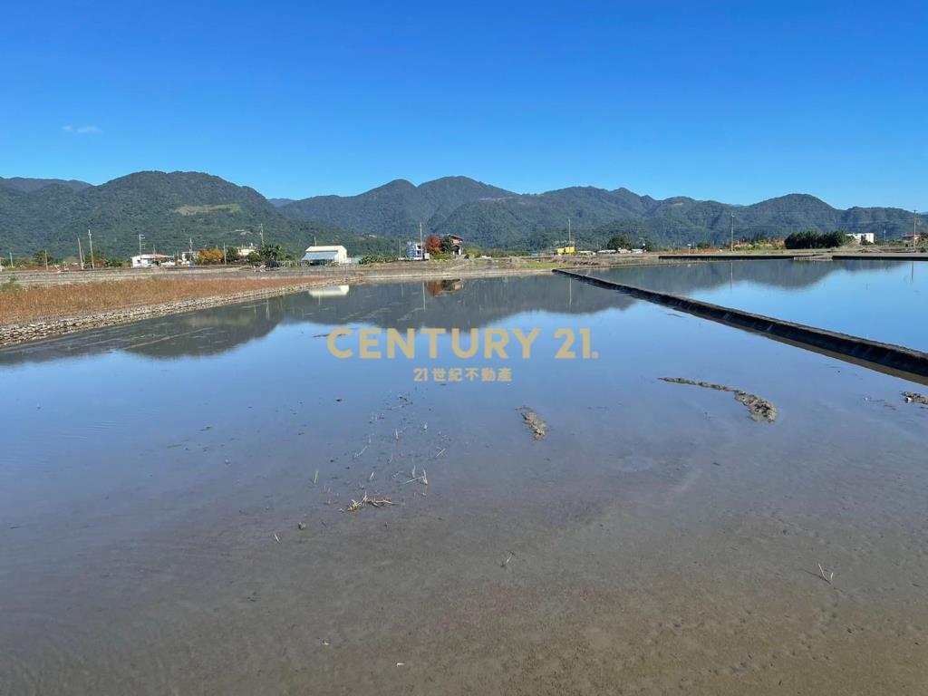 DC336近三星市區大面寬方正農地