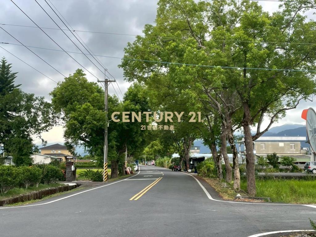 IC146耕莘旁足坪角地 (農地)