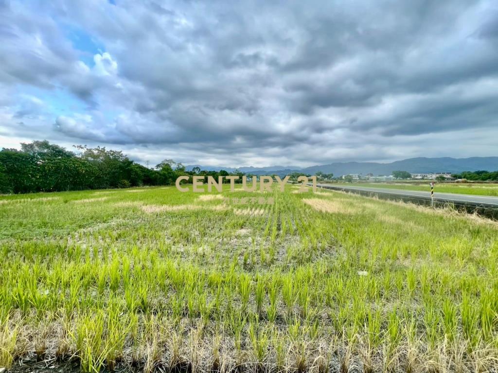 IC146耕莘旁足坪角地 (農地)