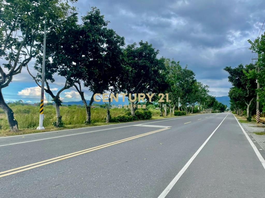 IC146耕莘旁足坪角地 (農地)