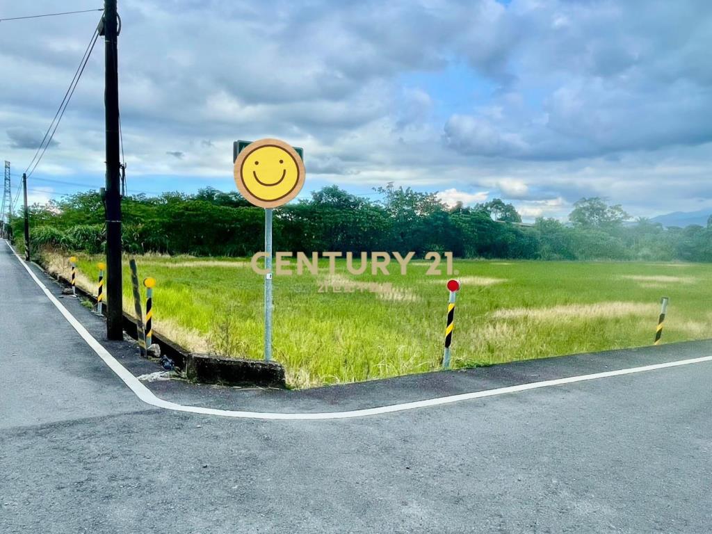 IC146耕莘旁足坪角地 (農地)