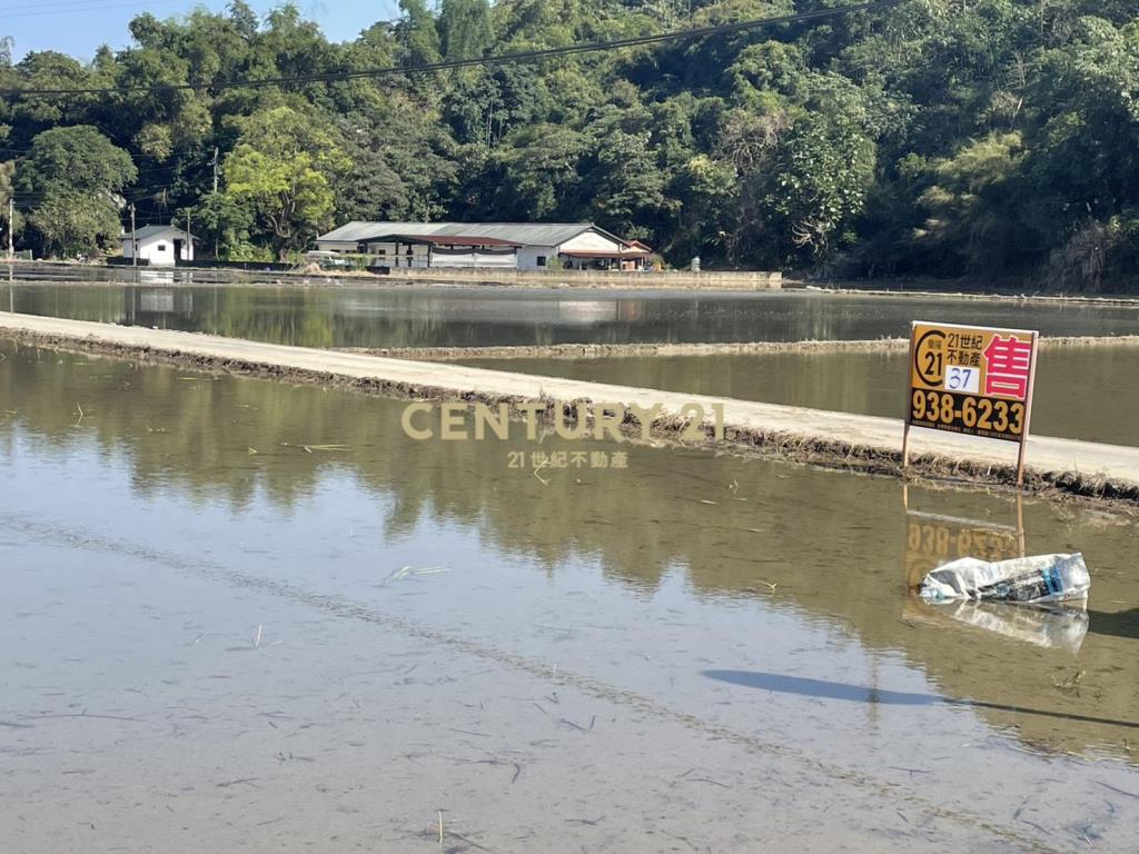 IC149三星便宜金俗農地
