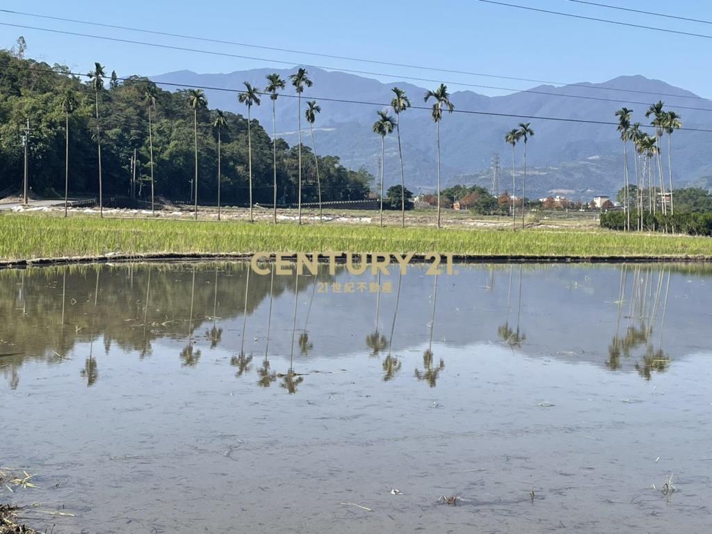 IC149三星便宜金俗農地