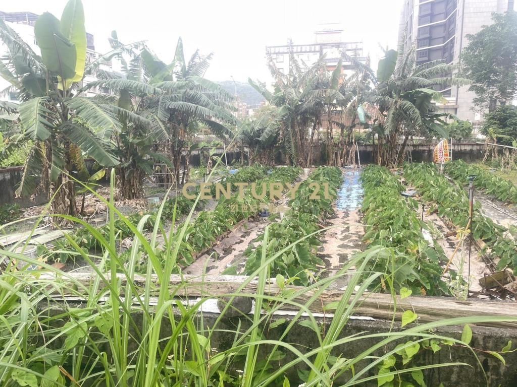 ID069頭城學區旁方正建地