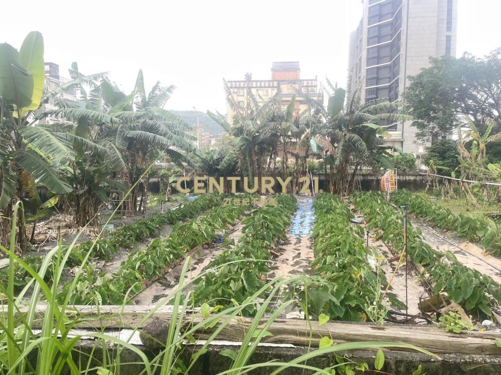 ID069頭城學區旁方正建地