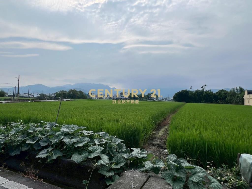 IC154員山2分美農地