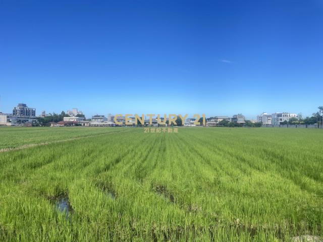 IC155宜市近國道大面寬都內振興農地