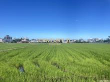 IC155宜市近國道大面寬都內振興農地
