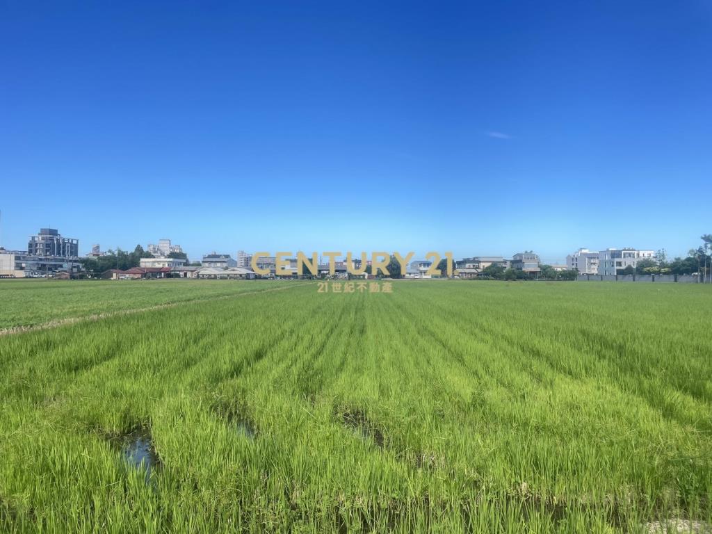 IC155宜市近國道大面寬都內振興農地