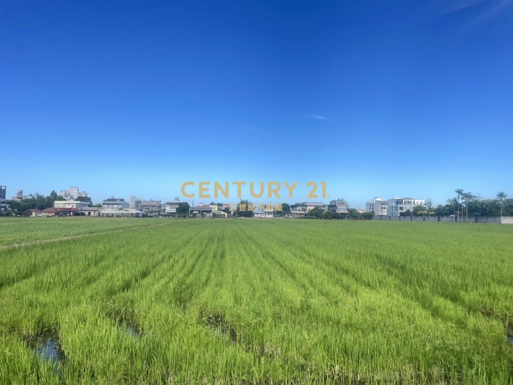IC155宜市近國道大面寬都內振興農地