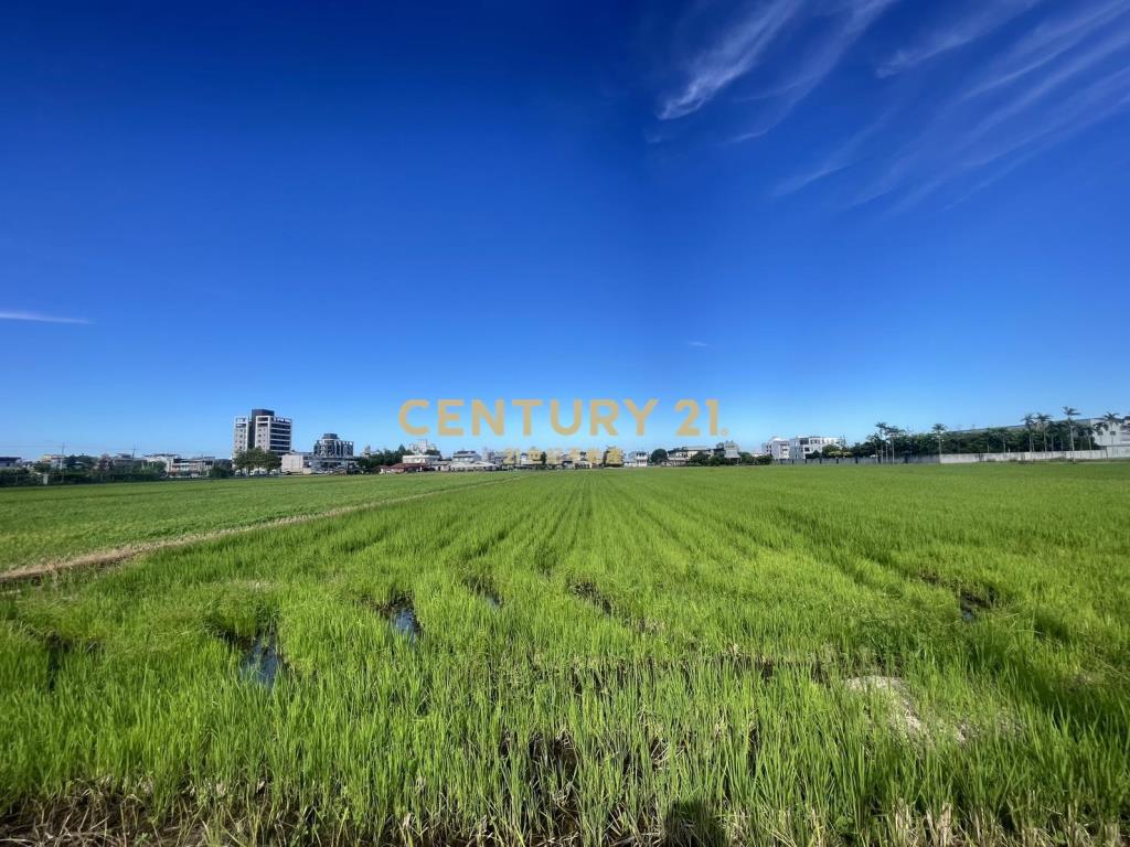 IC155宜市近國道大面寬都內振興農地