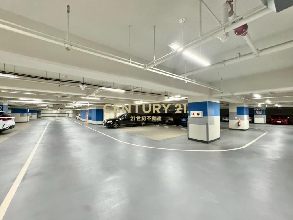 百富大電高載重廠房/白天鵝-21商仲