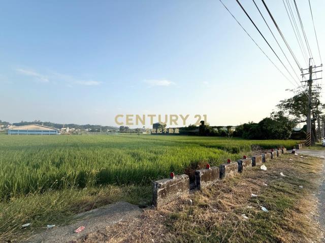 柳營區165縣旁肥沃土地農牧首選