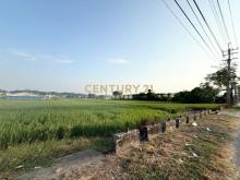 柳營區165縣旁肥沃土地農牧首選
