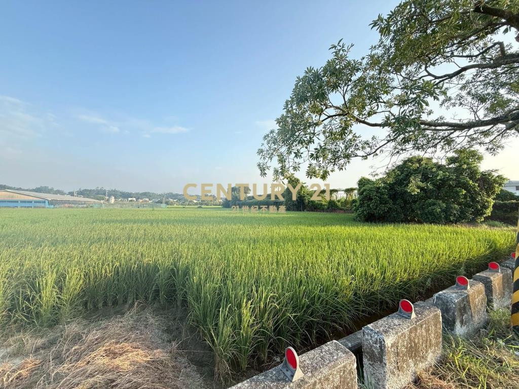 柳營區165縣旁肥沃土地農牧首選