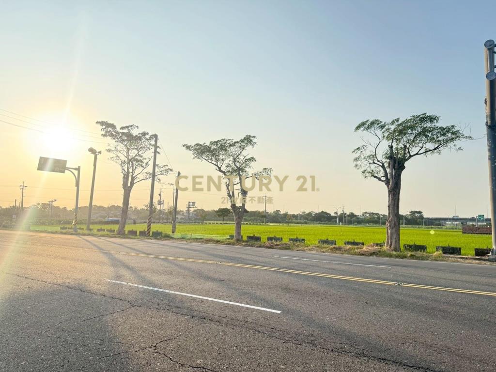 柳營區165縣旁肥沃土地農牧首選