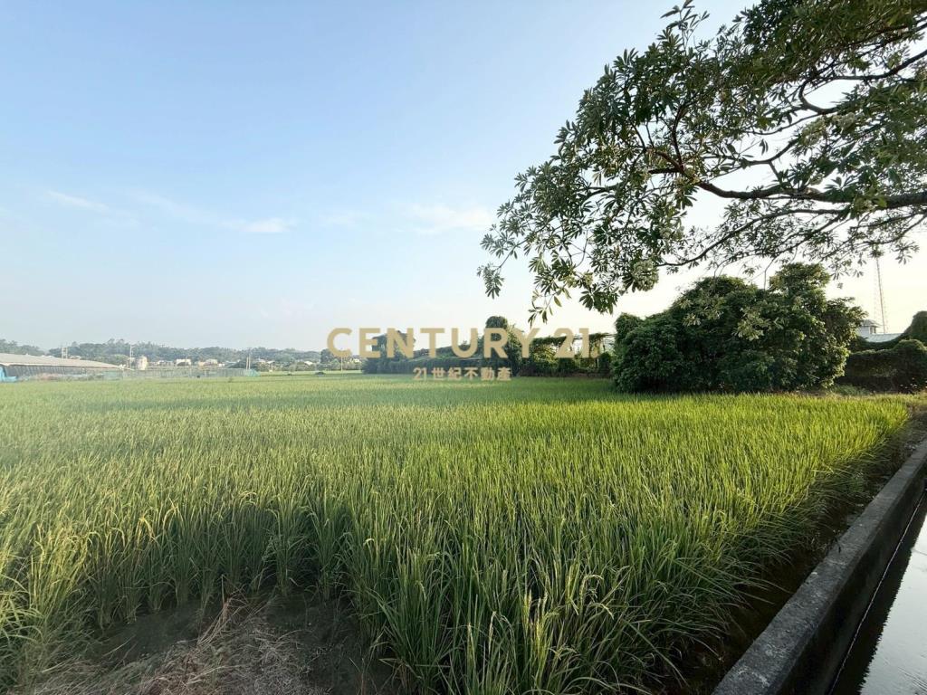 柳營區165縣旁肥沃土地農牧首選