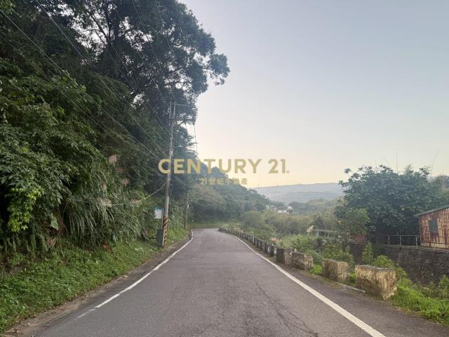 有山有水平坦老農地-可配合申請蓋農舍