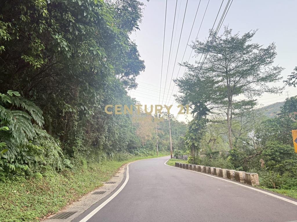 有山有水平坦老農地-可配合申請蓋農舍