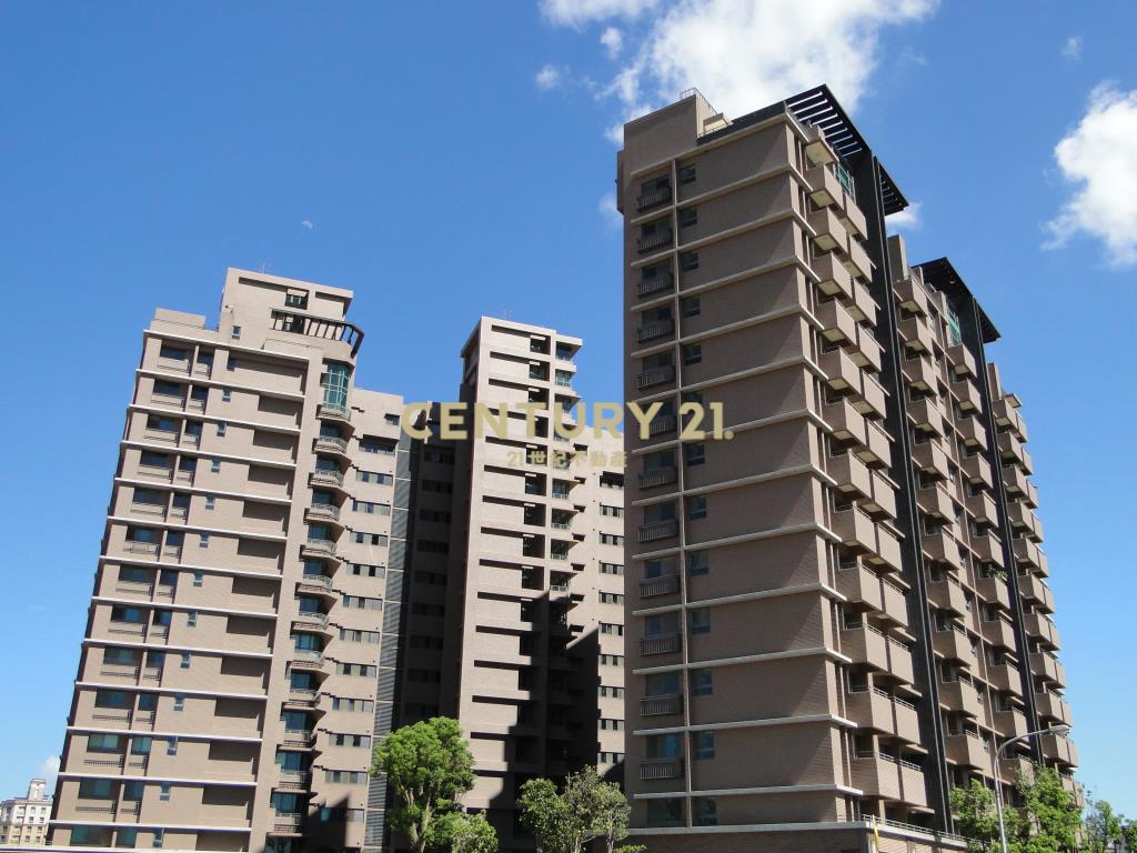 森聯首席