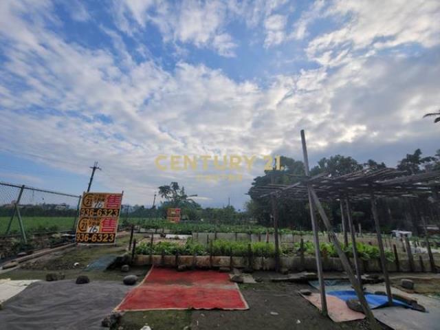 LC028晏京帝寶旁開心農場