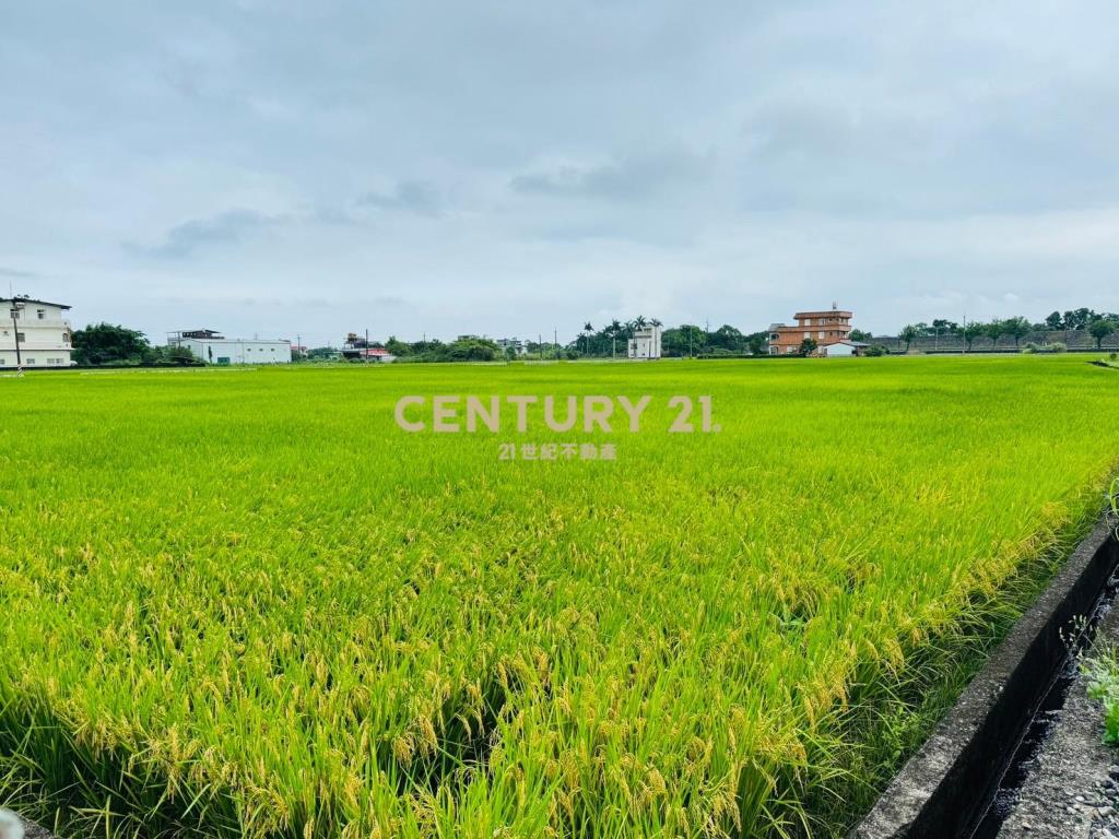 LC059員山溪洲大面寬老農地