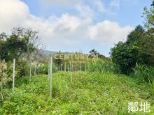 LC108員山便宜農保地