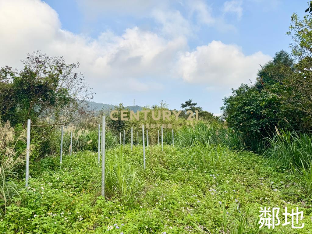 LC108員山便宜農保地