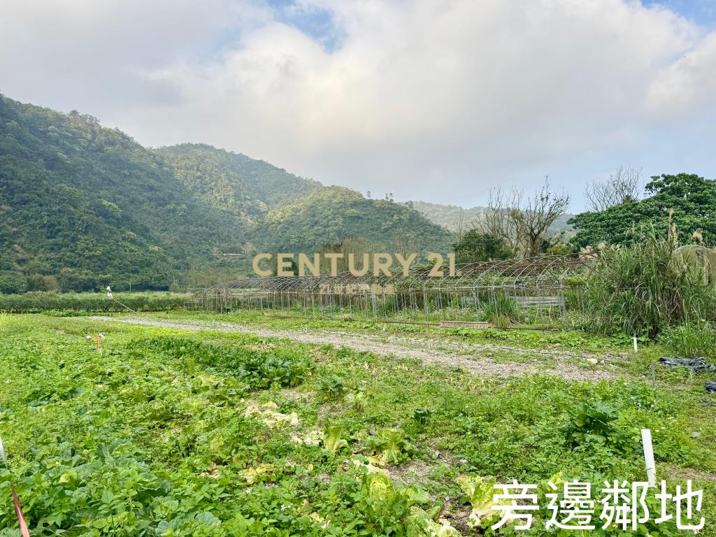 LC108員山便宜農保地