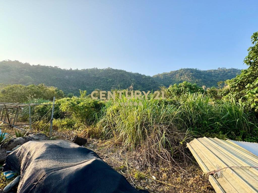 LC108員山便宜農保地