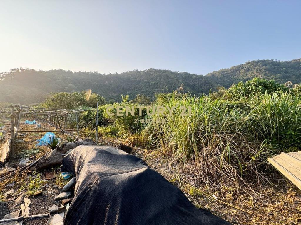 LC108員山便宜農保地