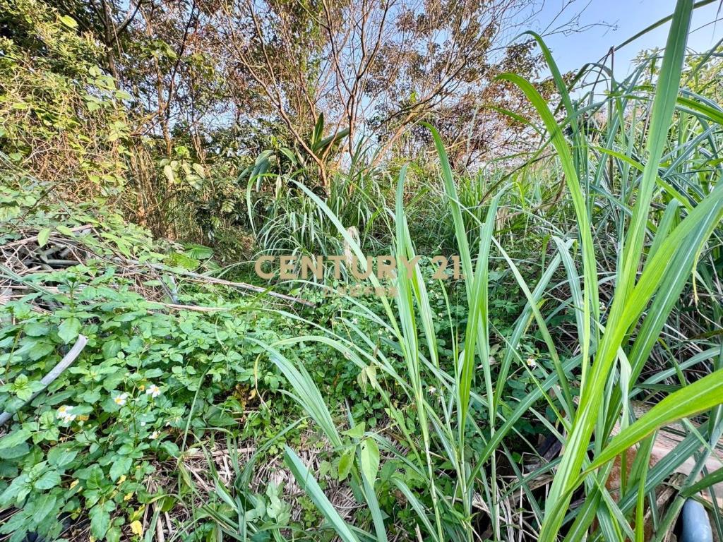 LC108員山便宜農保地