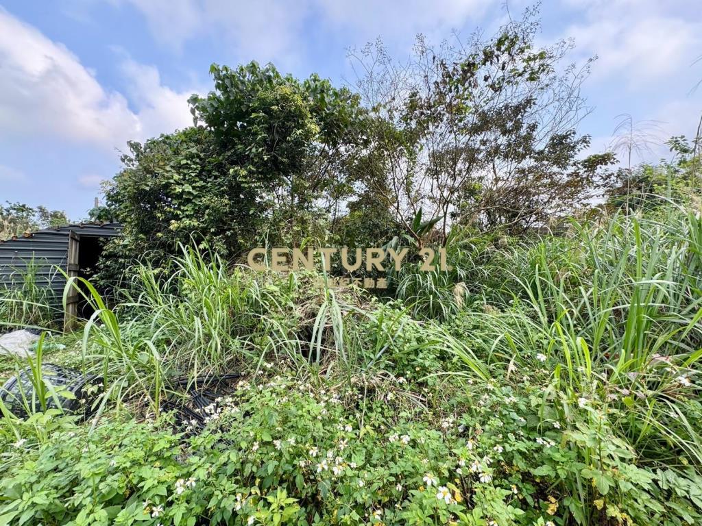 LC108員山便宜農保地