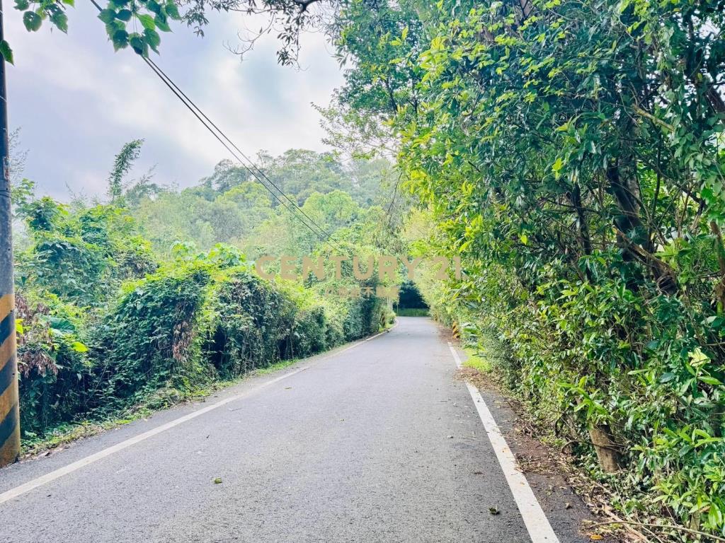 LC108員山便宜農保地