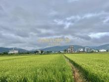 LC114宜市雪峰路老農地