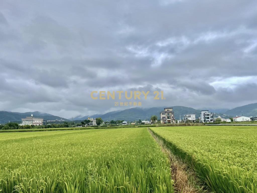 LC114宜市雪峰路老農地