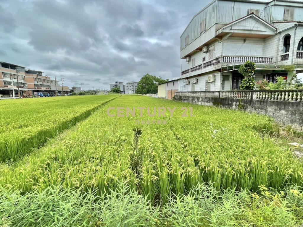 LC114宜市雪峰路老農地