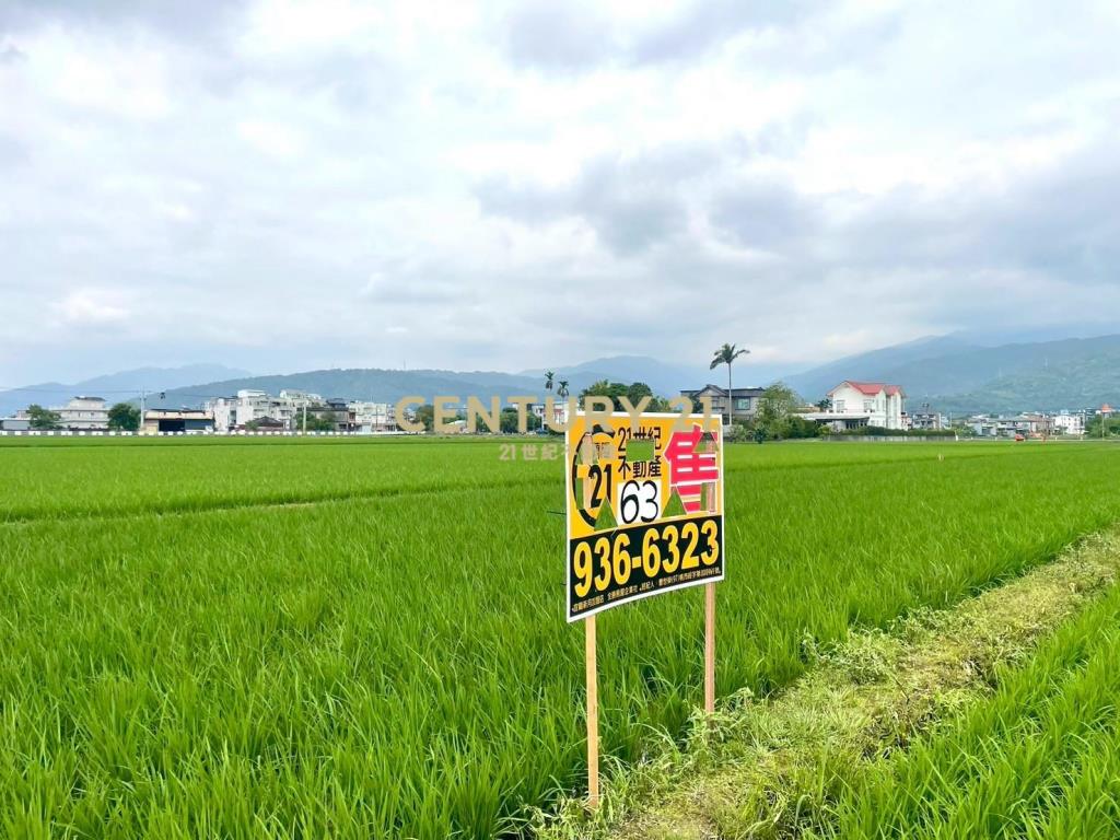 LC119宜市北津段一分田地