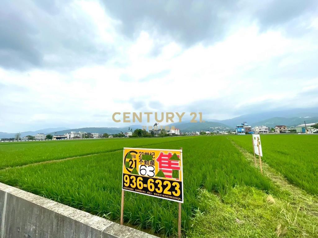 LC119宜市北津段一分田地