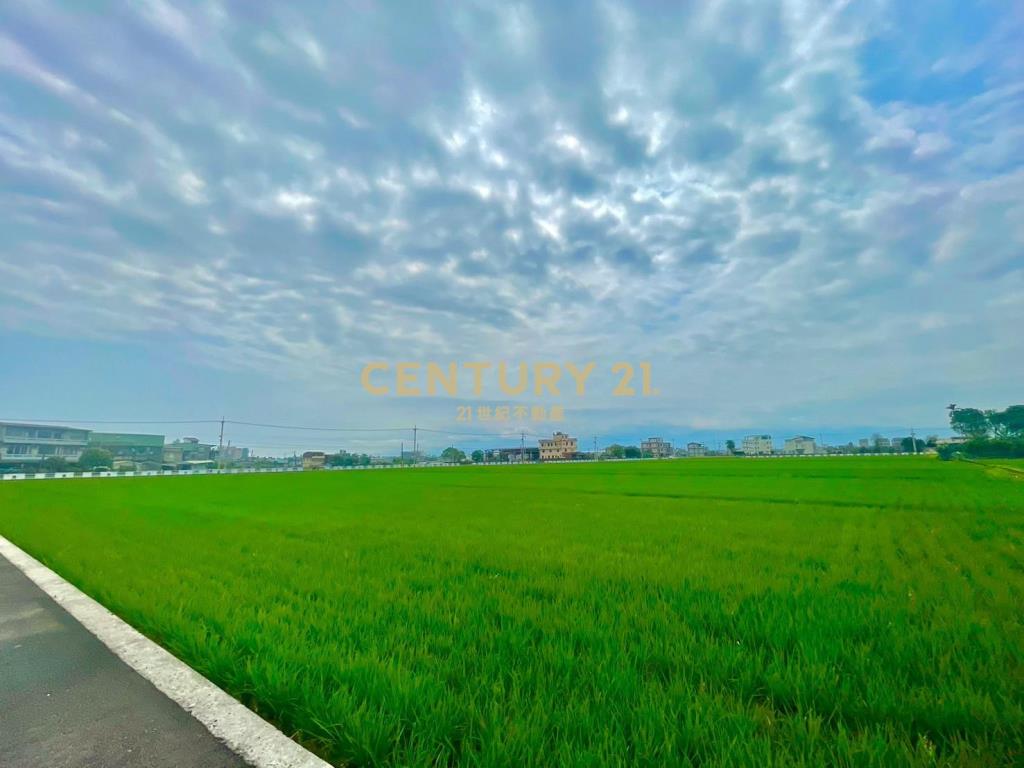 LC119宜市北津段一分田地