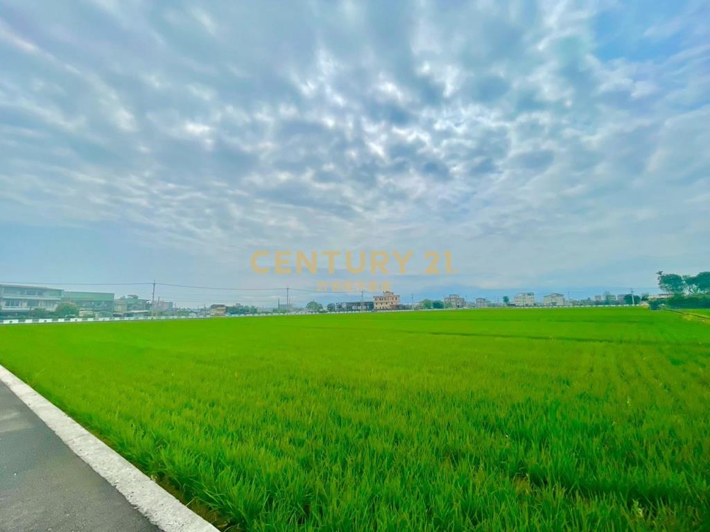 LC119宜市北津段一分田地