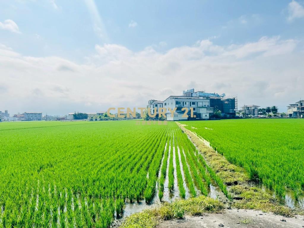 LD026壯圍都計內農建地