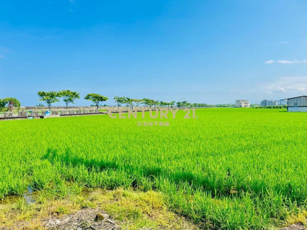 LD026壯圍都計內農建地