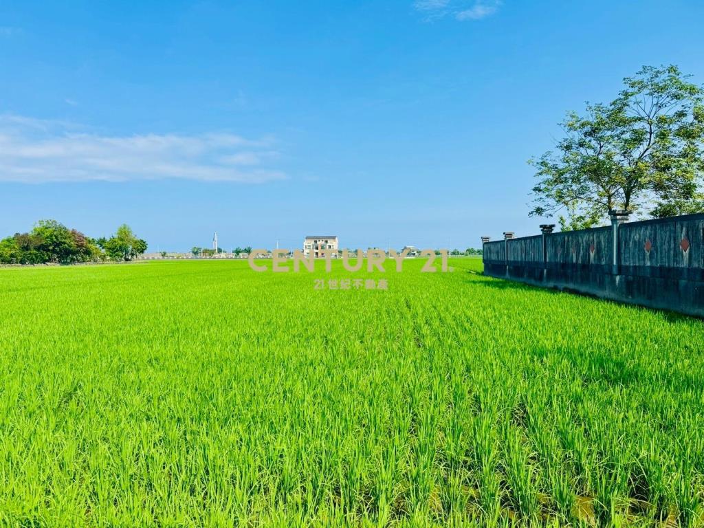 LD026壯圍都計內農建地